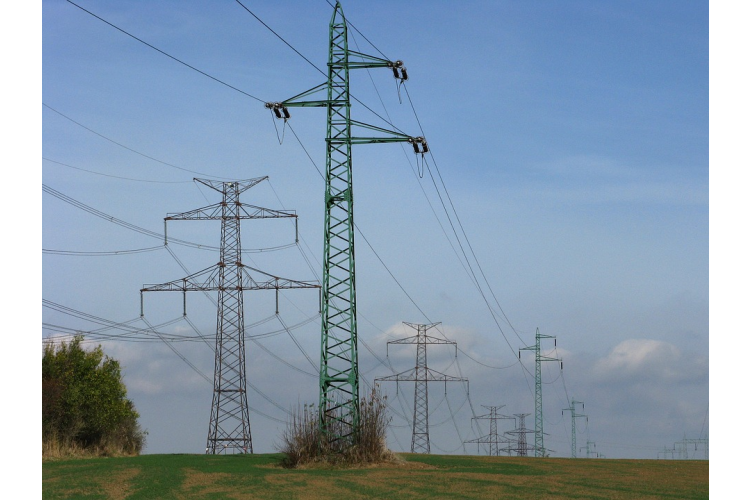 Upozornění vlastníkům na nutný ořez dřevin ohrožující elektrické distribuční zařízení